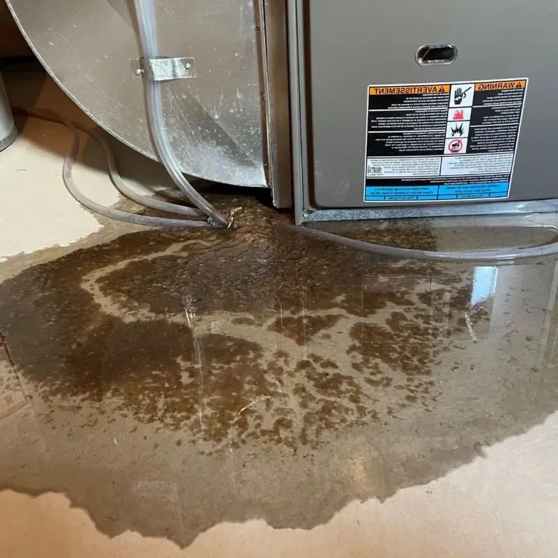 Pipe Burst and Leak Restoration in Pocatello, ID